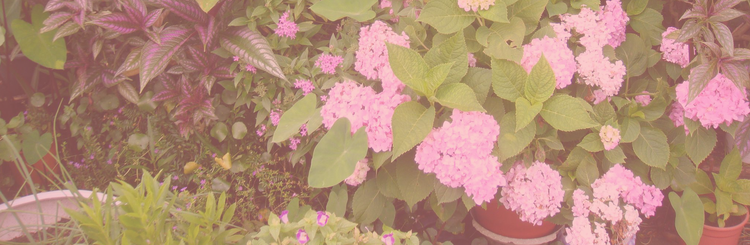 桃園龍潭石門水庫民宿