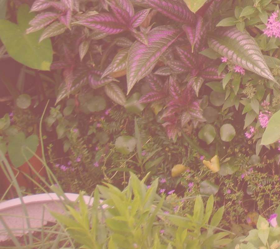 桃園龍潭石門水庫民宿